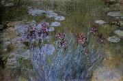 Claude Monet Irises and Water Lillies Sweden oil painting reproduction